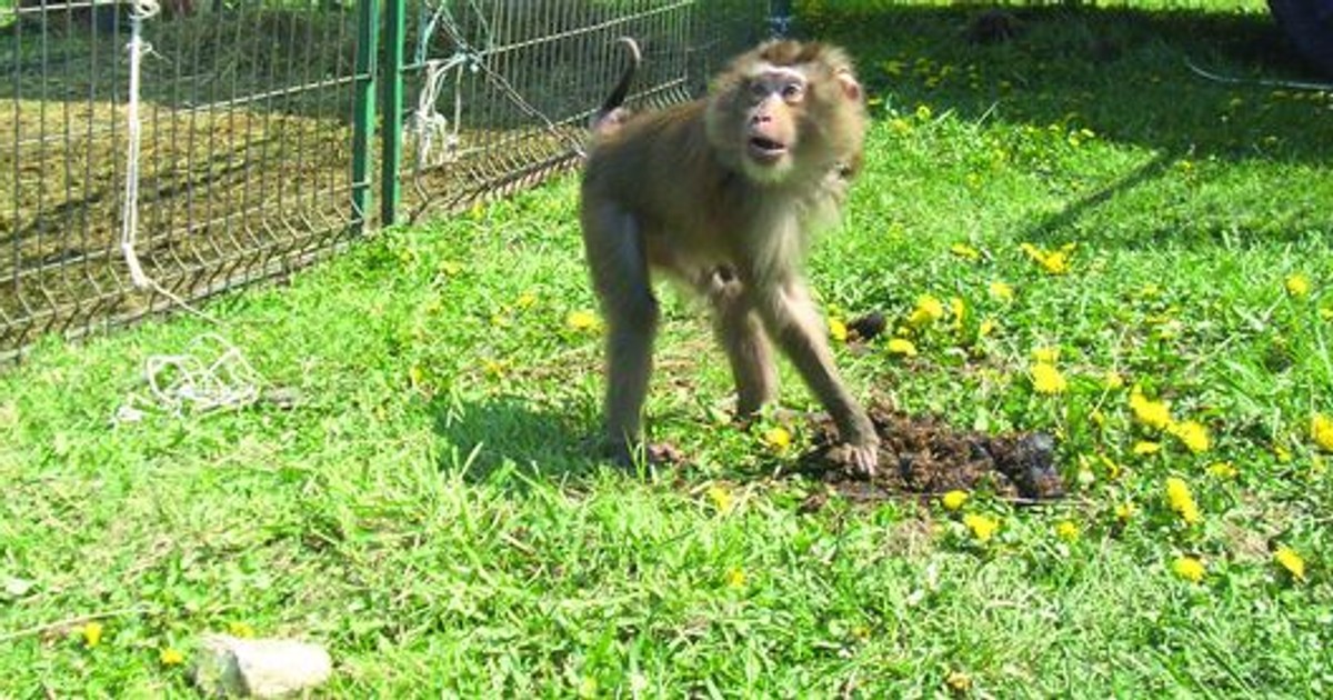 Arhiva foto