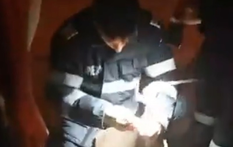 Pui de pisică, salvat de pompieri în București. Misiunea emoționantă a militarilor a fost filmată | VIDEO