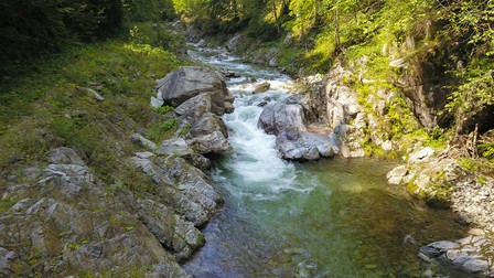 Obiective turistice Transalpina - Cheile Gilortului
