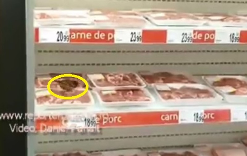 VIDEO | O pasăre s-a dus la galantarul cu carne și s-a hrănit! S-a întâmplat în orașul Buzău