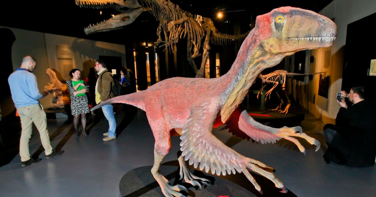 Dinozaurii erau deja în declin când au fost uciși de meteorit