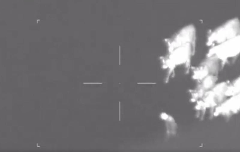 Un bărbat din Marea Britanie care fugea de poliție a fost prins cu ajutorul unei turme de vaci. Momentul a fost filmat | VIDEO
