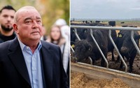 Ferma Black Angus a lui Gigi Nețoiu, amendată din nou, cu 40000 de lei Ce au găsit inspectorii