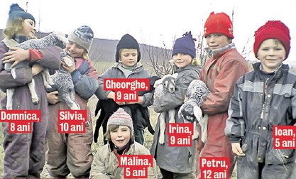Arhiva foto