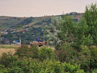 Arhiva foto