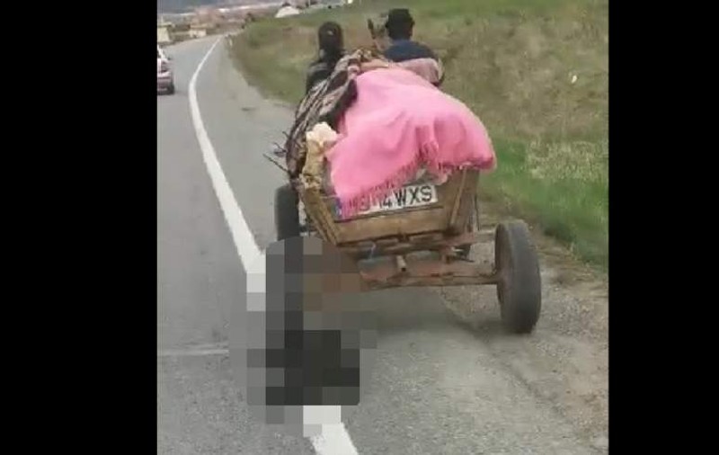 VIDEO | Imagini scandaloase pe o stradă din județul Brașov. Un câine legat de o căruță a fost târât fără milă