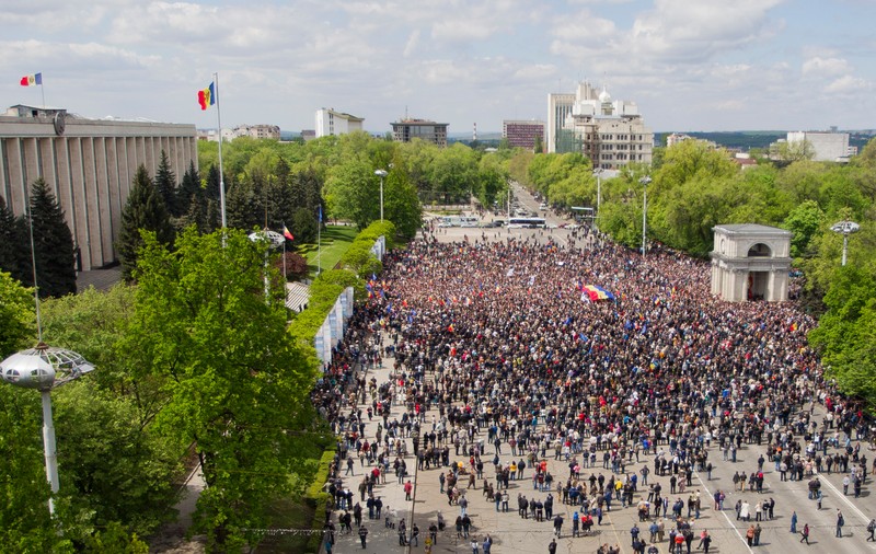 Jaf inedit la Chișinău: Au furat arborii decorativi | VIDEO