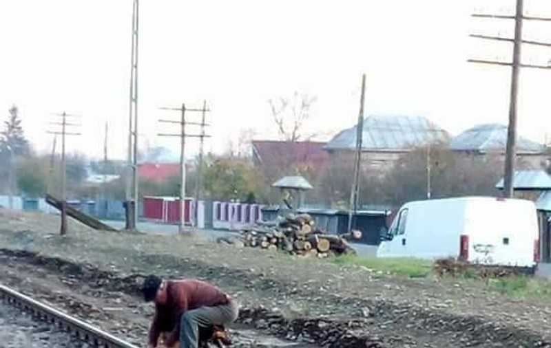 Câine legat cu lanțul de calea ferată de către un bătrân din Neamț supărat că animalul lătra și ataca găinile - FOTO