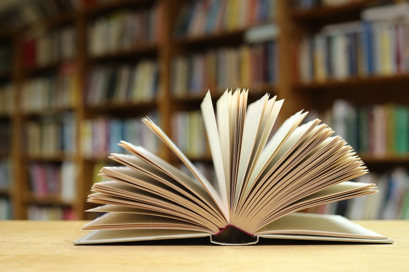 Manualele pentru clasa a IX-a vor ajunge în școli cel mai devreme în luna octombrie, promite Ministerul Educației. Foto: Shutterstock