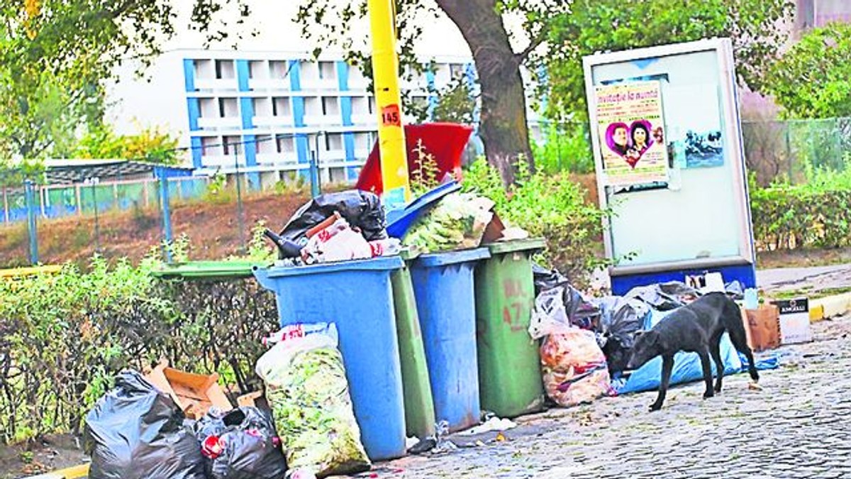 Ce riscă bucureștenii care nu respectă curățenia