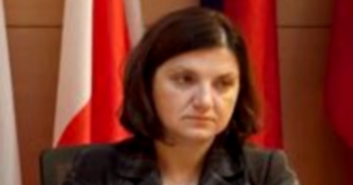 Raluca Prună, pledoarie pentru șefa DNA