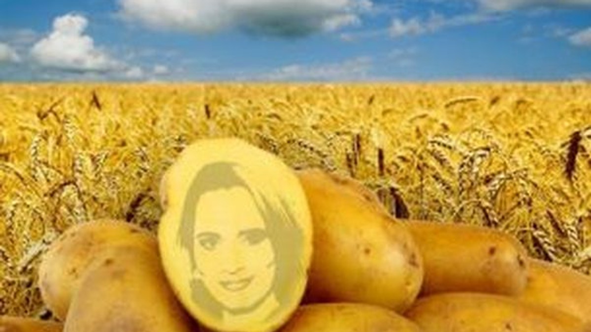 Arhiva foto