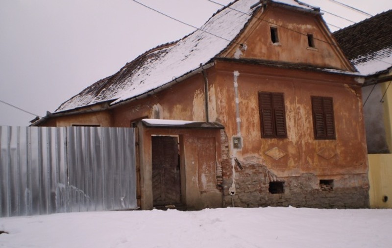 INUMAN! Povestea tristă a şase copii, abandonaţi în frig de mama lor