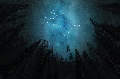 Constelația Gemini