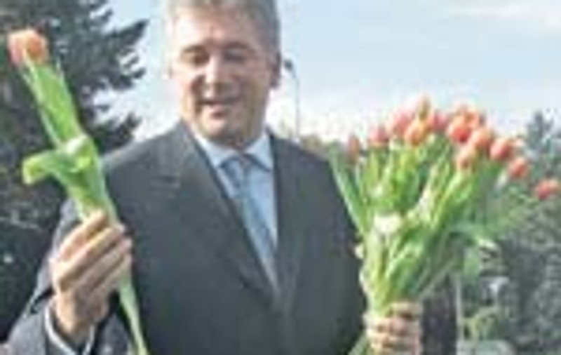 'Imperiul Bucuresti'