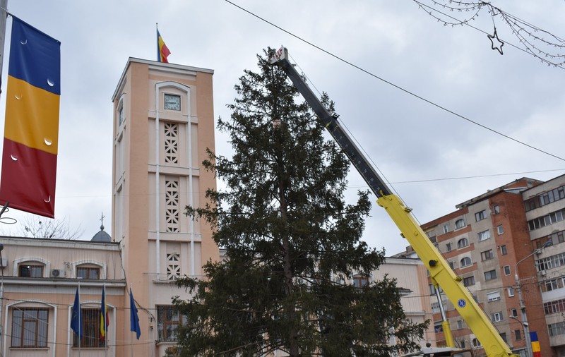 Primăria Bârlad le cere localnicilor să doneze bradul de Crăciun orașului. „De ce să cheltuim de la buget?”