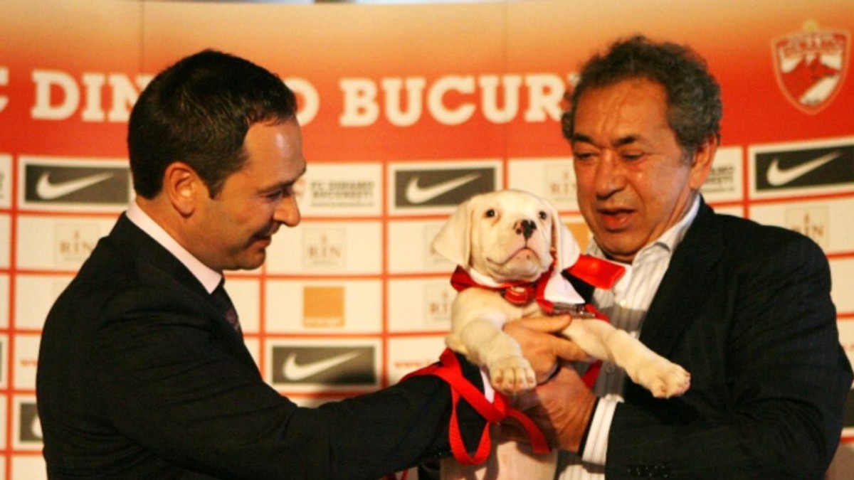 Nicolae Badea s-ar putea întoarce la Dinamo
