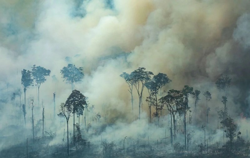 Brazilia refuză sprijinul G7 pentru salvarea Pădurii Amazoniene