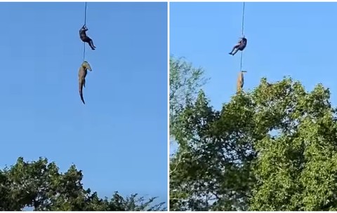 Un polițist și un crocodil, ridicați împreună cu elicopterul într-o acțiune de căutare a unui om de afaceri dispărut: „O operațiune periculoasă” | VIDEO