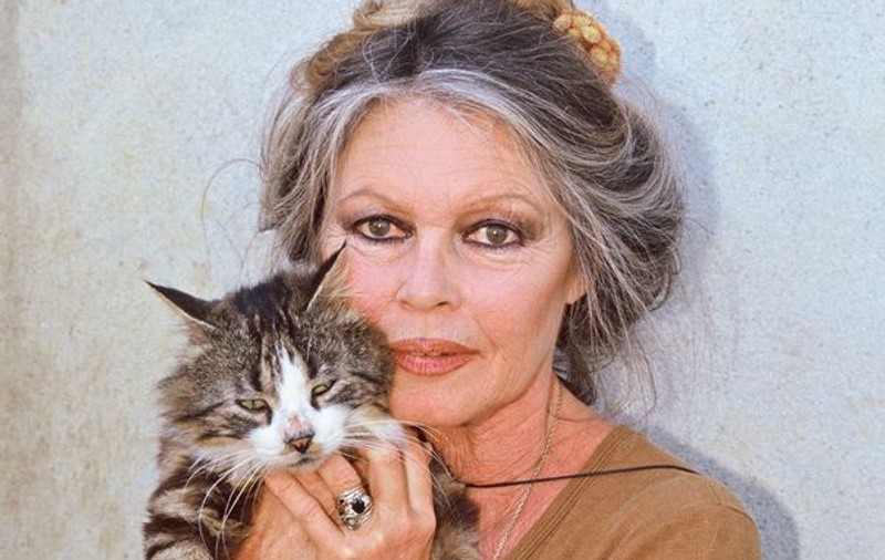 Brigitte Bardot către Regele Juan Carlos: "Nu sunteţi cu nimic mai bun decât braconierii. Sunteți o rușine a Spaniei!"