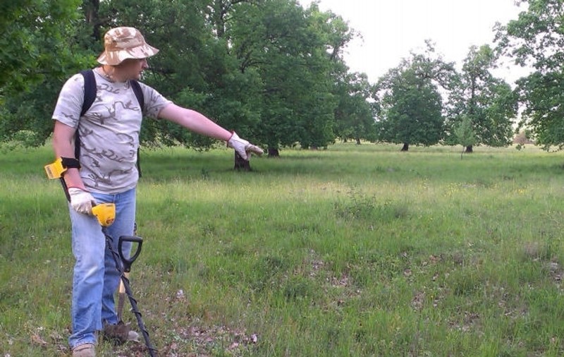 Monede de argint, descoperite într-o pădure de lângă Bistriţa
