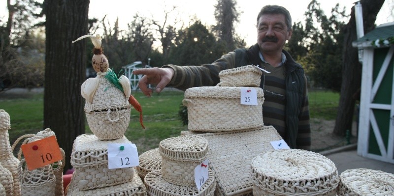 Arhiva foto