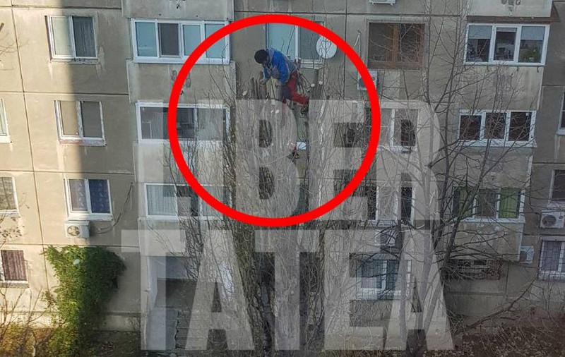 Fotografia zilei | Toaletarea copacilor, sport extrem. Unde s-a urcat un bărbat