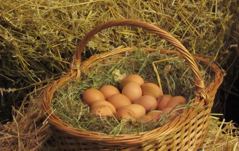 PERICOL! OUĂLE ŞI LEGUMELE de la ţărani NU SUNT ATÂT DE SĂNĂTOASE! CE s-a DEPISTAT ÎN aceste PRODUSE?