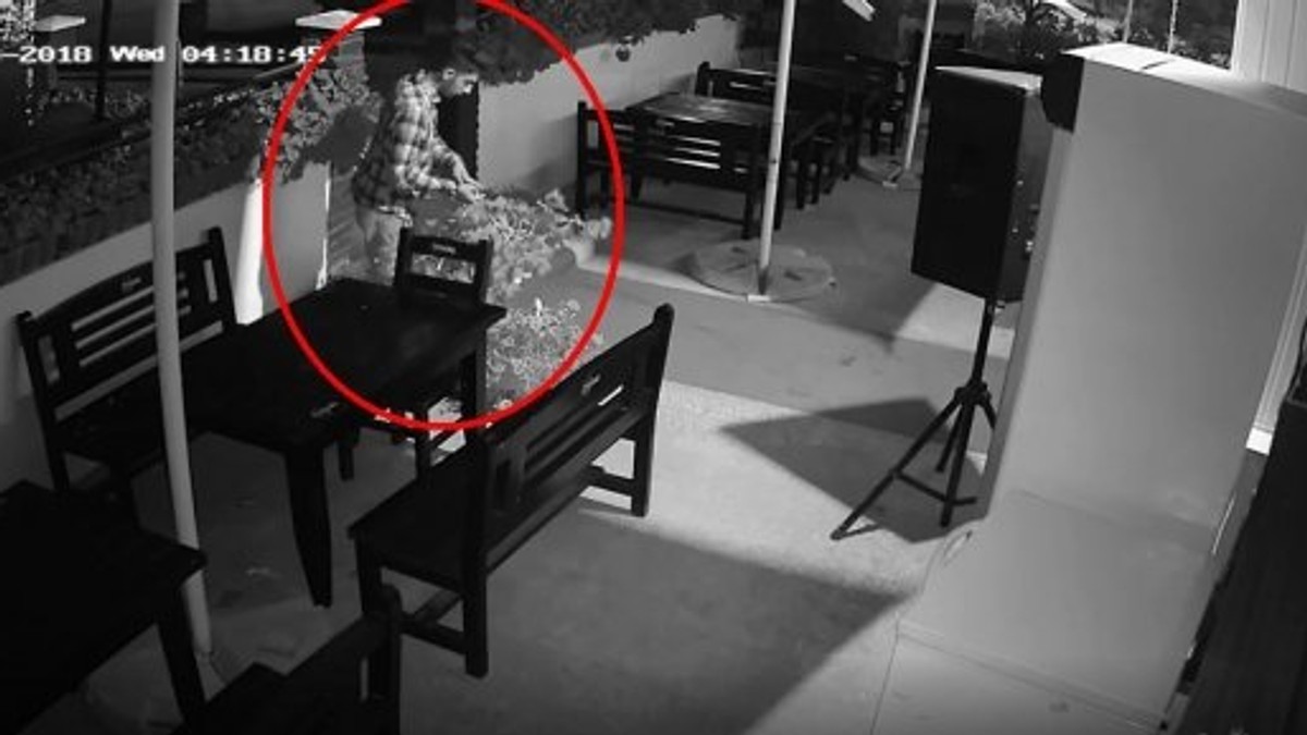 Un hoț din Iași fură din restaurant...ghivece cu flori! Patronul localului a ajuns la disperare