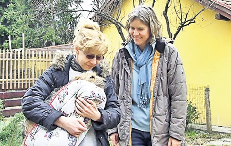 Îşi petrece concediul îngrijind maidanezii din Braşov