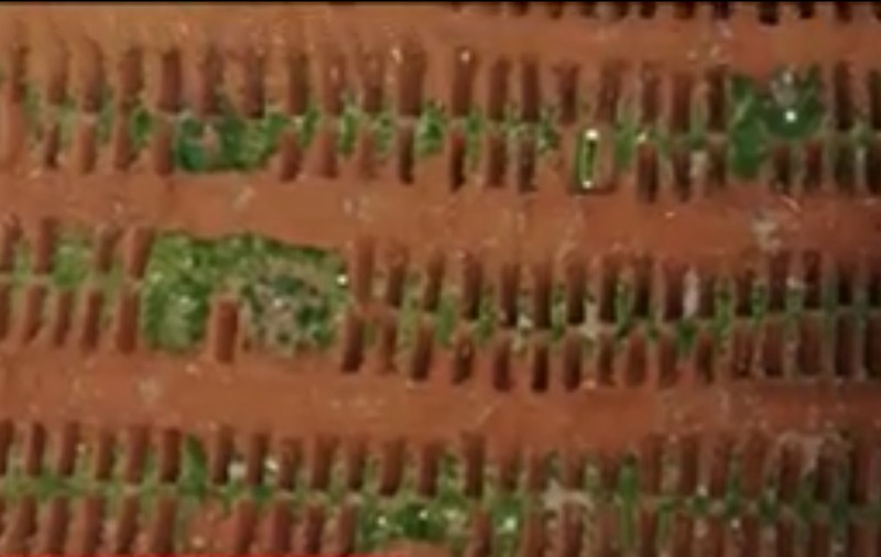 Imagini din dronă cu cimitirul din Sao Paolo, sufocat de morții de coronavirus. Este o înmormântare la zece minute