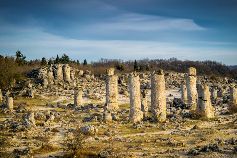 Obiective turistice din Bulgaria, aproape de România - Ăadurea pietrificata