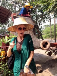 Arhiva foto