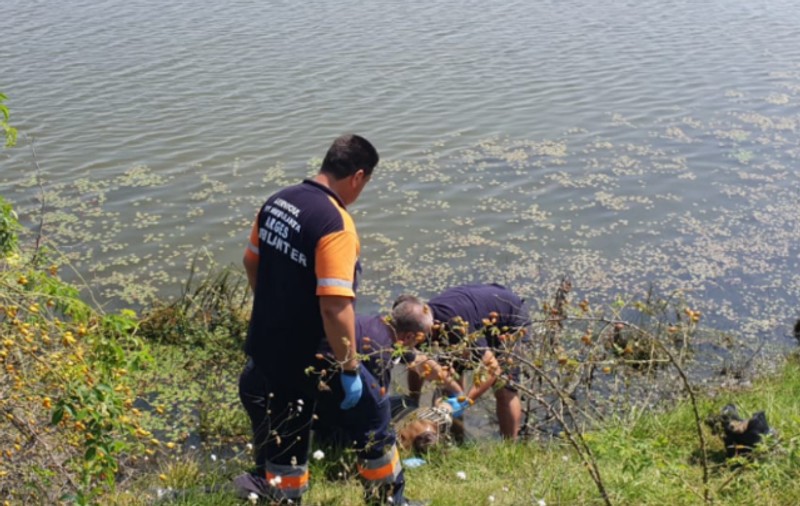 Moarte suspectă lângă Autostrada A1. O femeie a fost găsită fără viață, într-un lac. Detaliul descoperit de anchetatori la fața locului