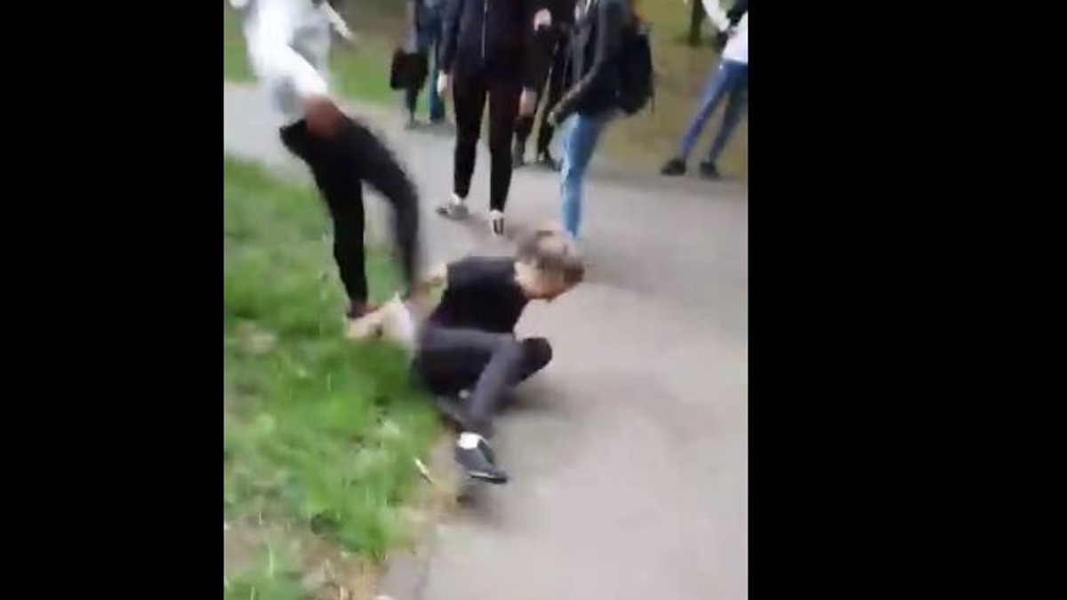 Elevă lovită cu pumnii și picioarele de o alta, într-un parc din Timișoara