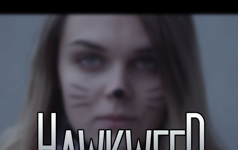 Premieră Libertatea.ro. Sprint Music lanseaza Hawkweed Walls, un proiect international!