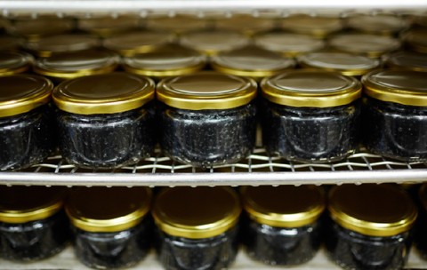 O moldoveancă a vrut să transporte 8 kilograme de caviar în valiză, cadou pentru rude de Paște. Vameșii de pe aeroportul din Berlin n-au fost de acord