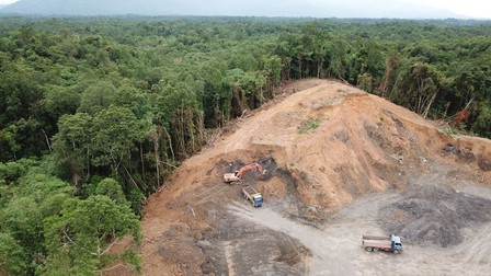 Acțiune de despădurire în Borneo. În locul junglei vor fi plantați palmieri, folosiți pentru obținerea uleiului FOTO: Shuterstock