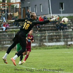 Arhiva foto