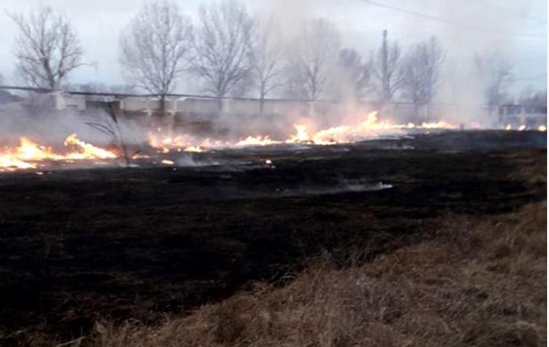 Incendiu de stuf şi vegetaţie uscată, într-un sat din Tulcea. Ard 500 de hectare de teren