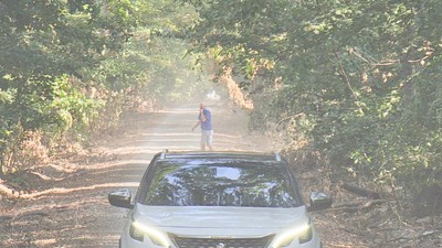 Masini în Pădurea Băneasa, 4 septembrie 2025