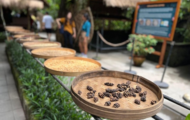 Kopi Luwak, cafeaua de la Asia Express. Cum se obține și cât costă pe piață