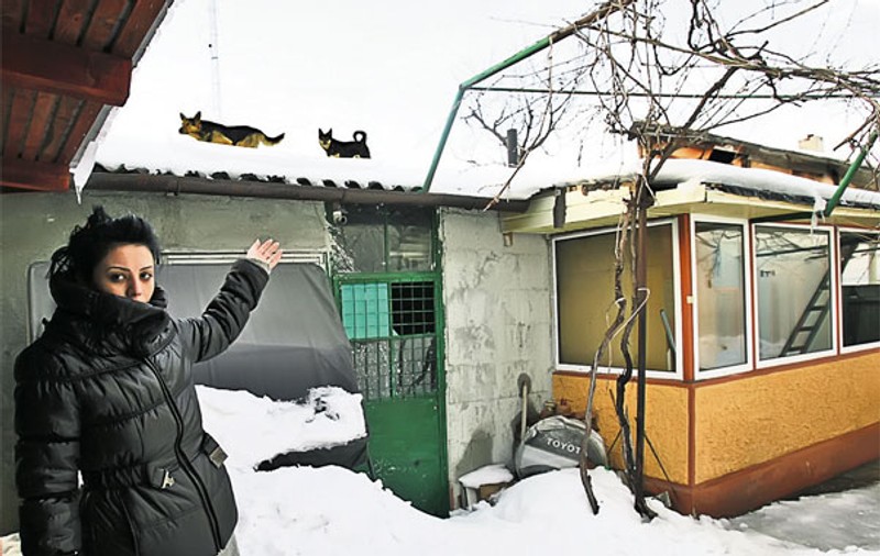 Se ceartă cu vecinul ei din cauza animalelor care i se urcă pe casă: «Câinii-maimuță îmi distrug acoperișul!»