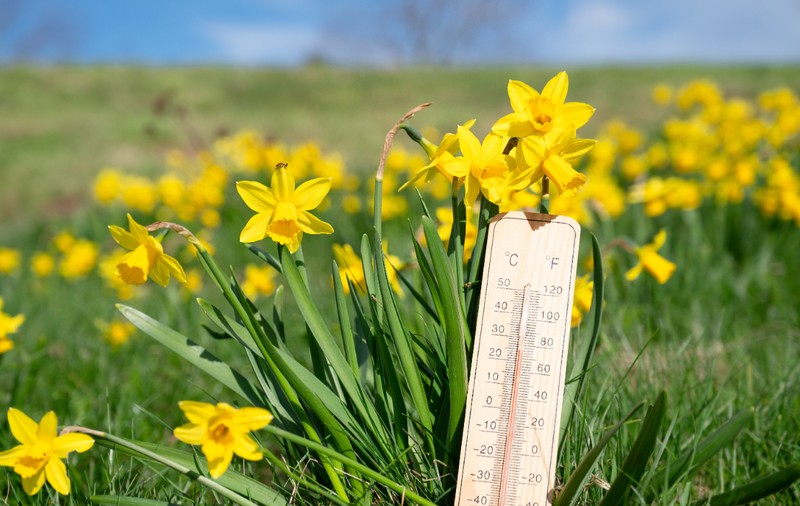 Cum va fi vremea în următoarele patru săptămâni. Prognoza meteo pentru perioada 10 martie - 6 aprilie 2025