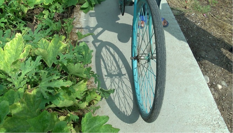 ”Biciclişti în Bucureşti”