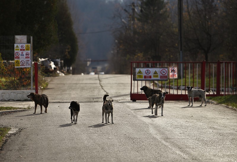 Poarta Uzinei Mecanice din Băbeni