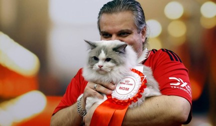 Aproximativ 200 de pisici din aproximativ 30 de rase participă la concursul de frumusețe felină de două zile. Sursă foto: Profimedia Images