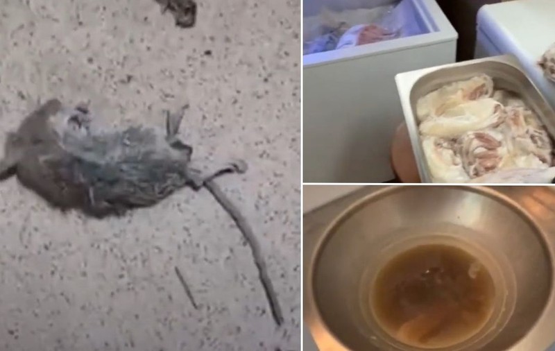 Un șoarece mort, gândaci și pânze de păianjeni, într-un restaurant cu specific grecesc din Constanța. ANPC l-a închis | VIDEO