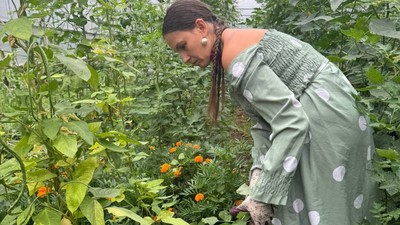 fermiera mures amendata solar