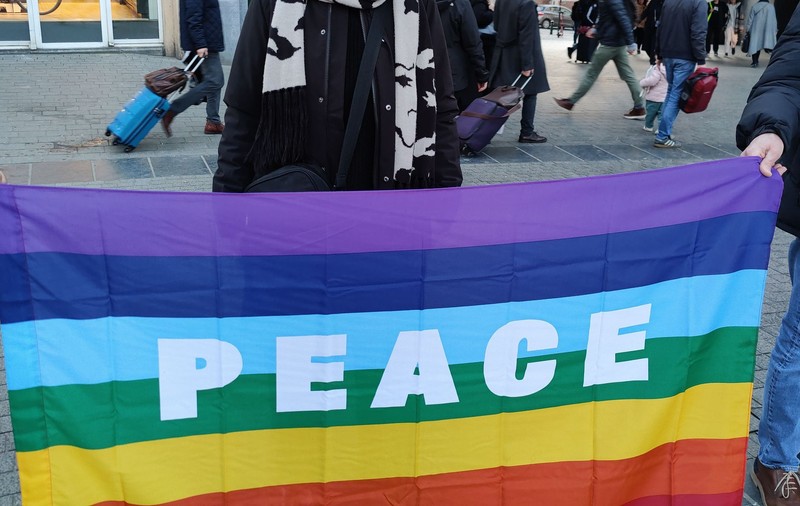 Ce înseamnă pacifist? Mic îndrumar pentru corigenții la logică